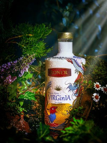 VIRGinIa virginia_6.jpg